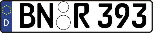 BN-R393