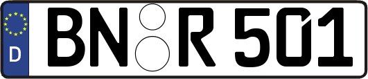BN-R501