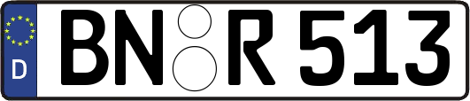 BN-R513