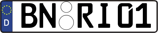 BN-RI01