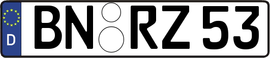 BN-RZ53