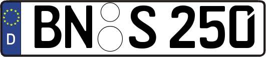 BN-S250