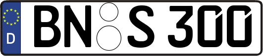 BN-S300