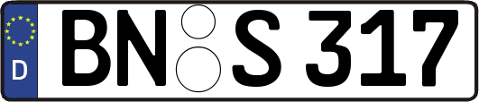 BN-S317