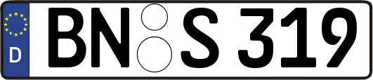 BN-S319