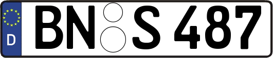 BN-S487