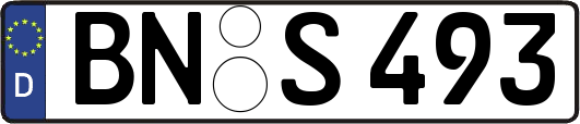 BN-S493