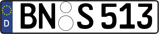 BN-S513