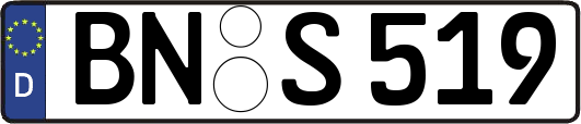 BN-S519
