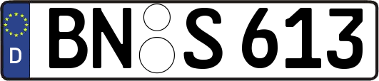 BN-S613