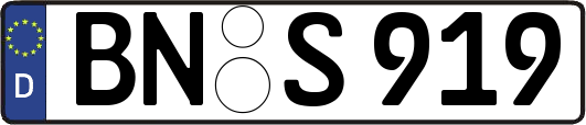 BN-S919