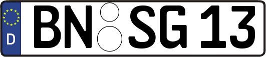 BN-SG13