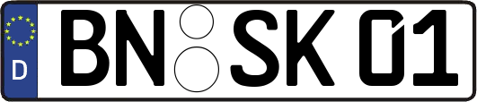 BN-SK01