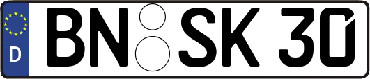 BN-SK30