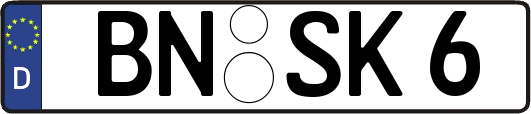 BN-SK6