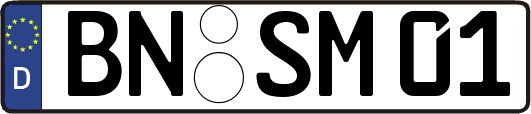 BN-SM01