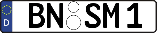 BN-SM1