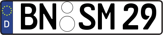 BN-SM29