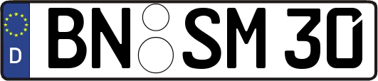 BN-SM30