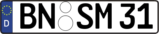 BN-SM31