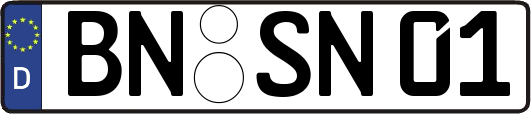 BN-SN01