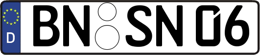 BN-SN06