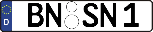 BN-SN1