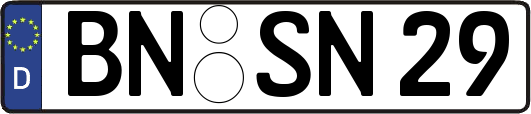 BN-SN29