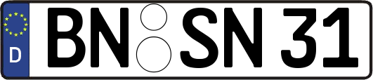 BN-SN31