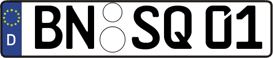 BN-SQ01
