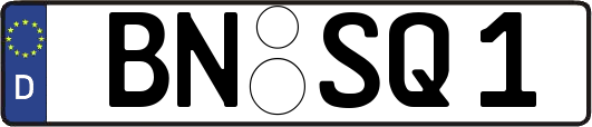 BN-SQ1