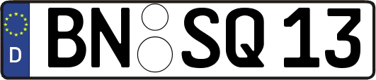 BN-SQ13