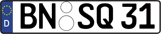 BN-SQ31