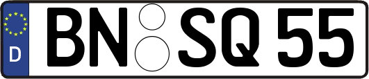 BN-SQ55