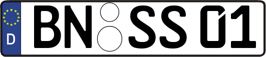 BN-SS01