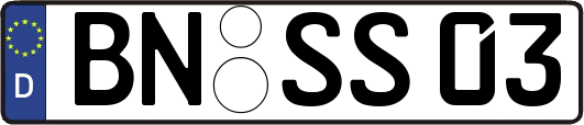 BN-SS03