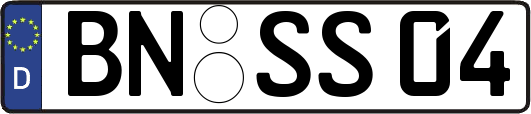 BN-SS04