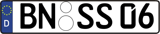 BN-SS06