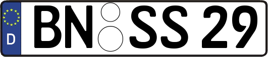 BN-SS29