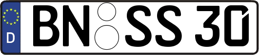 BN-SS30
