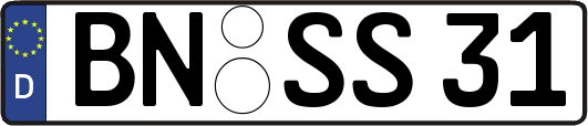 BN-SS31