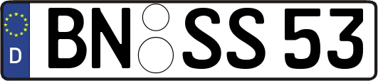 BN-SS53