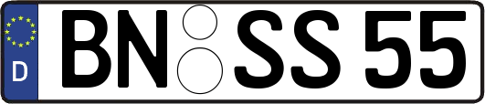 BN-SS55