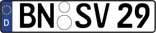 BN-SV29
