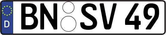 BN-SV49