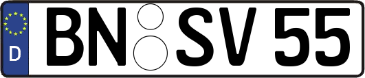 BN-SV55