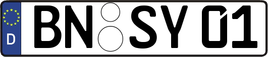 BN-SY01