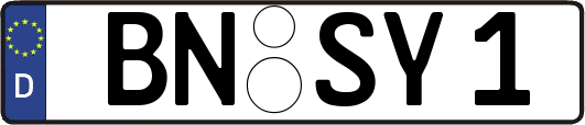 BN-SY1