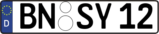 BN-SY12