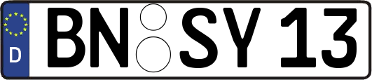 BN-SY13